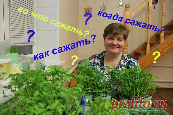 Девочки, нашла до безобразия интересное дачное сообщество ) Советы о выращивании на подоконнике и в саду, таких еще не встречала. Так что теперь меня за уши не оттащить от компа!
Скорей все сюда  Моя Любимая Дача