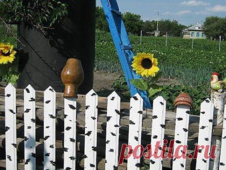 Одноклассники