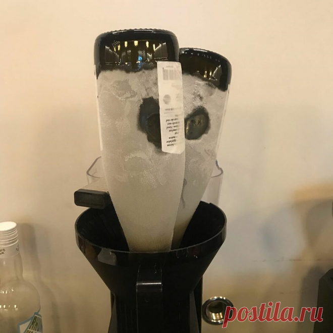 Самое крепкое пиво в мире. Водка по сравнению с ними - легкая водичка | Пиво - твой друг | Яндекс Дзен