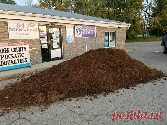 David Pepper в Твиттере: «When they dump manure, we go high! One of our best performing offices, generating strong D early vote. Lesson: keep organizing while they bs https://t.co/0pbrUEPG1O»