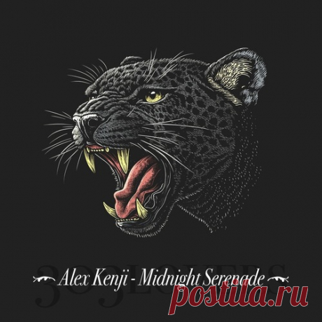 Alex Kenji – Midnight Serenade [303L2503]