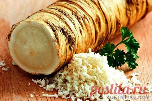 “Хреновые” факты 

Все помнят, как в фильме «Ирония судьбы, или С легким паром» отрицательный герой Ипполит, напившись и сняв личину лицемерия, произносит откровенно и с тоской: «Какая гадость эта ваша заливная рыба!»…