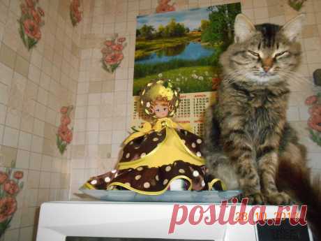 Домашний любимец.