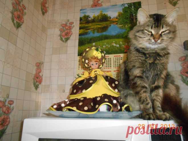 Домашний любимец.