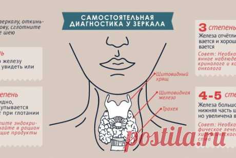 Щитовидная железа: симптомы гипотиреоза и гипертиреоза 

Нарушениями в работе «щитовидки» страдает до трети населения планеты, при этом большую часть заболеваний этого органа можно предотвратить и вылечить — если вовремя диагностировать и начать лечение.
Показать полностью…