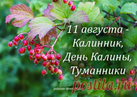 Народные приметы и запреты на 11 августа. Калинник, Калина, Туманники, День Калины. Что не стоит делать 11 августа по поверьям и приметам, а что можно и надо сделать