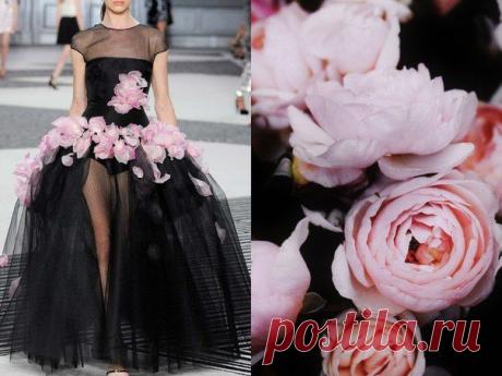 • Giambattista Valli F/W 2015/16