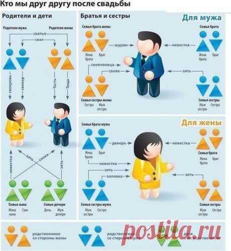 Разберемся в родственниках после свадьбы
