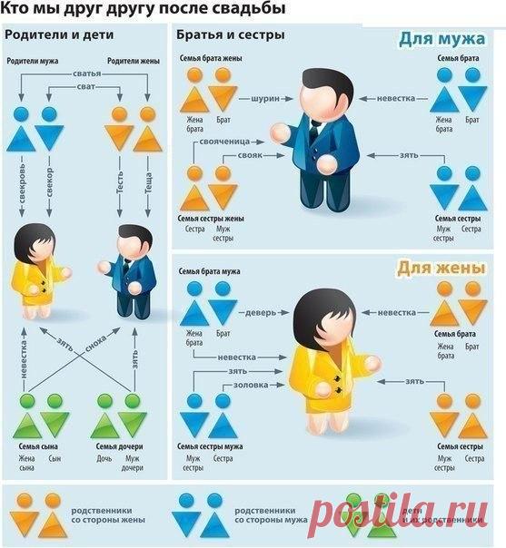 Разберемся в родственниках после свадьбы