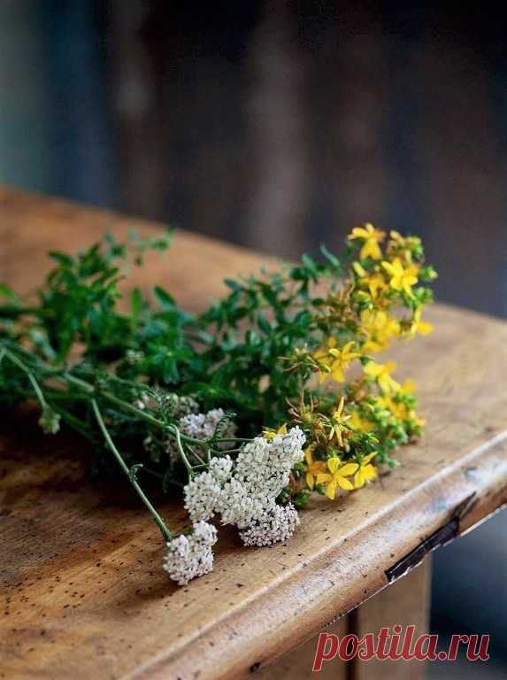 (5) цветы для друзей