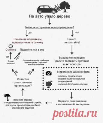 Водители, обнаружив под упавшим стволом и грудой листвы любимое авто, теряются: «Куда обращаться? Кто виноват? Что делать?».
БЕЗ ПАНИКИ.