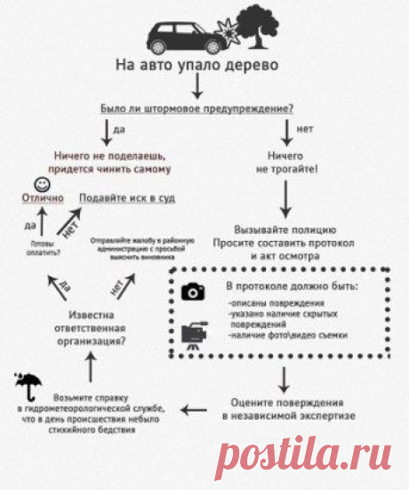 Водители, обнаружив под упавшим стволом и грудой листвы любимое авто, теряются: «Куда обращаться? Кто виноват? Что делать?».
БЕЗ ПАНИКИ.