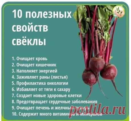10 полезных свойств свёклы