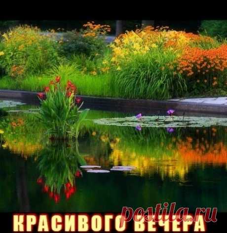 (14) Зина Таирова
