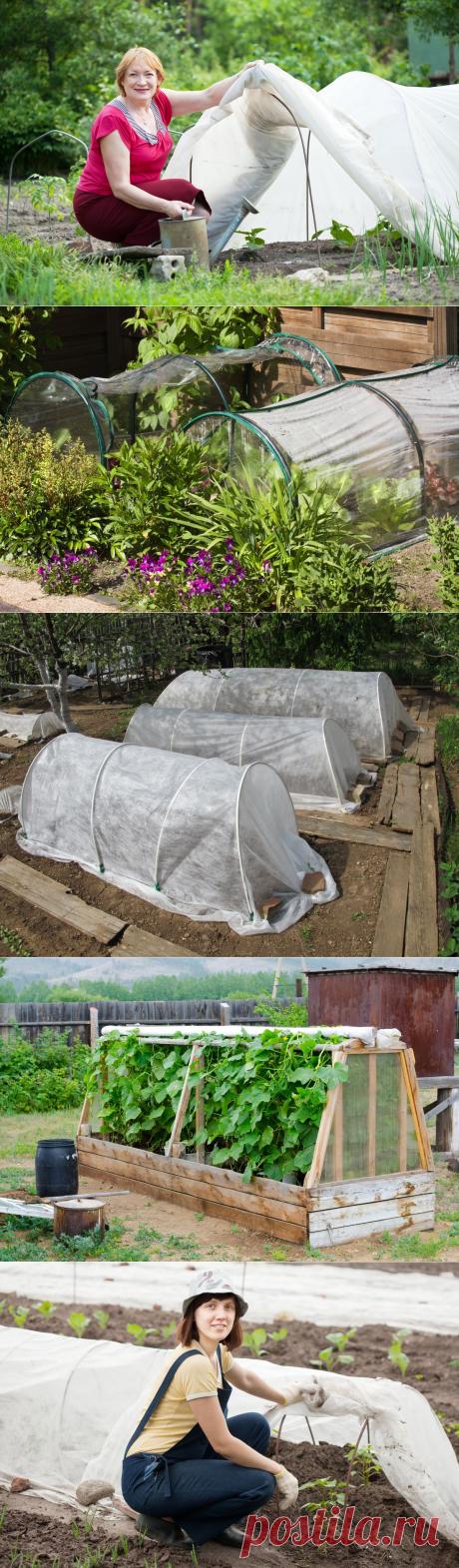 Как и из чего соорудить простой парник на даче / Дача — это философия моей жизни. / 7dach.ru