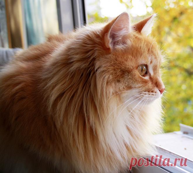 Редактировать описание