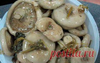 Холодная засолка грибов на зиму - домашний рецепты как солить грибы холодным способом. » Сусеки Раньше грибы, в основном, солили в больших деревянных бочках и использовали способ, который называется - холодная засолка. Заготавливать таким образом грибы можно, если есть возможность собрать их в лесу в достаточно большом количестве и одного сорта. Засолка грибов холодным способом подходит только для таких видов: сыроежек, гладышей, груздей, волнушек, рыжиков, свинушек и друг...