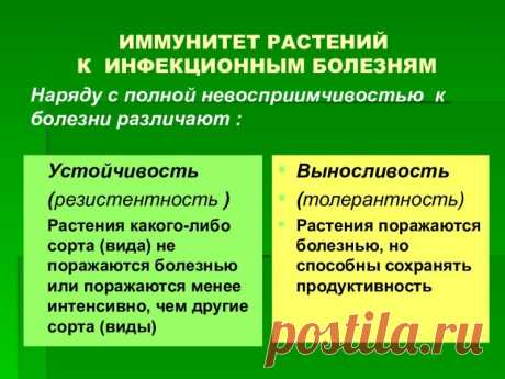 Как повысить иммунитет растений к болезням