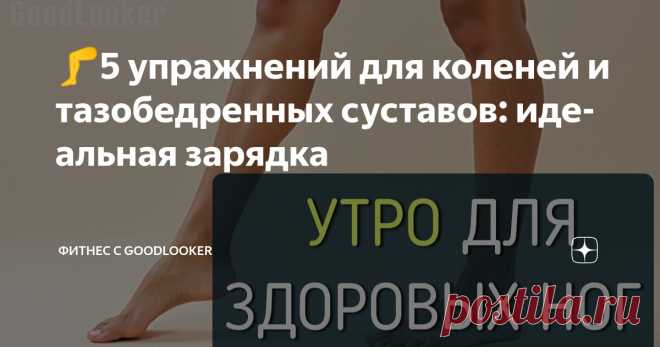 🦵5 упражнений для коленей и тазобедренных суставов: идеальная зарядка Статья автора «Фитнес с GoodLooker» в Дзене ✍: Просыпаясь утром, важно не только «пробудить» мозг, но и мягко разбудить суставы – особенно коленные и тазобедренные.