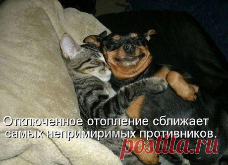 анатолий: Я ГОВОРЮ, ЧТО ДУМАЮ И ДУМАЮ, ЧТО ГОВОРЮ
