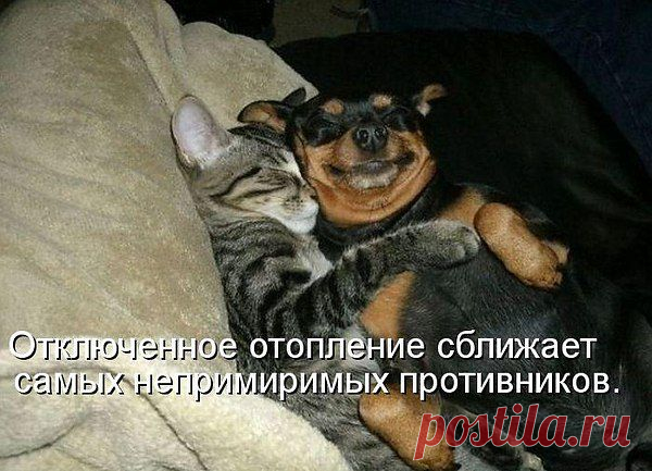 анатолий: Я ГОВОРЮ, ЧТО ДУМАЮ И ДУМАЮ, ЧТО ГОВОРЮ