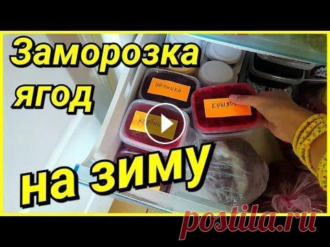 Заготовки ягод на зиму! Самый простой рецепт! ➨ ПОДПИШИТЕСЬ ➨ ➨ ВКОНТАКТЕ ➨ ➨ INSTAGRAM ➨ Вот и наступает пора сбора урожая, ягодки уже можно собирать! И пора уже делать заготовки на зиму. В этом ...
