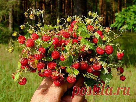 (57) Одноклассники