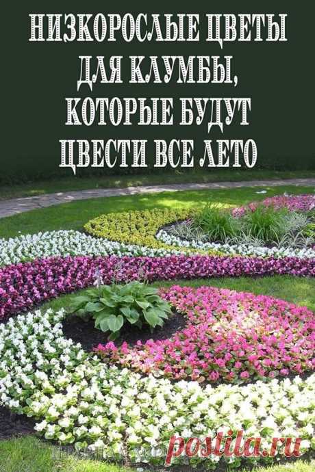 (1204) Pinterest