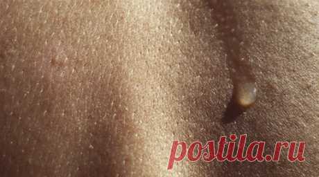 Дерматолог предупредила о рисках для кожи в отопительный сезон. Врач-дерматовенеролог, косметолог к. м. н. Наталья Михайлова предупредила в беседе с RT, что начало отопительного сезона может стать серьёзным испытанием для здоровья кожи. Читать далее