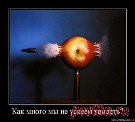 Серьезные демотиваторы должны быть со смыслом. » Поржать.ру