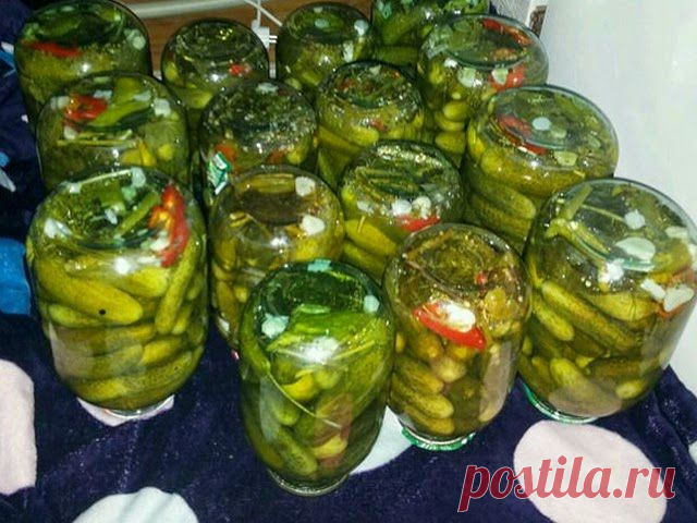 ✔ Чесночная картошка - покорят вас своим незабываемым вкусом!: Консервирование огурцов холодной водой
