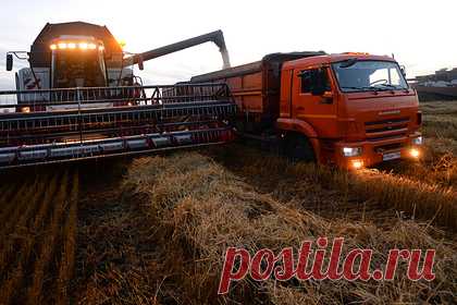 На Ставрополье собрали почти два миллиона тонн зерна. В Ставропольском крае собрали почти два миллиона тонн нового урожая зерна. Второй год подряд Кочубеевский округ становится лидером по уборке зерновых культур. Высокие показатели также зафиксировали в Новоалександровском, Предгорном и Изобильненском округах. Всего планируется собрать больше восьми миллионов тонн зерна.