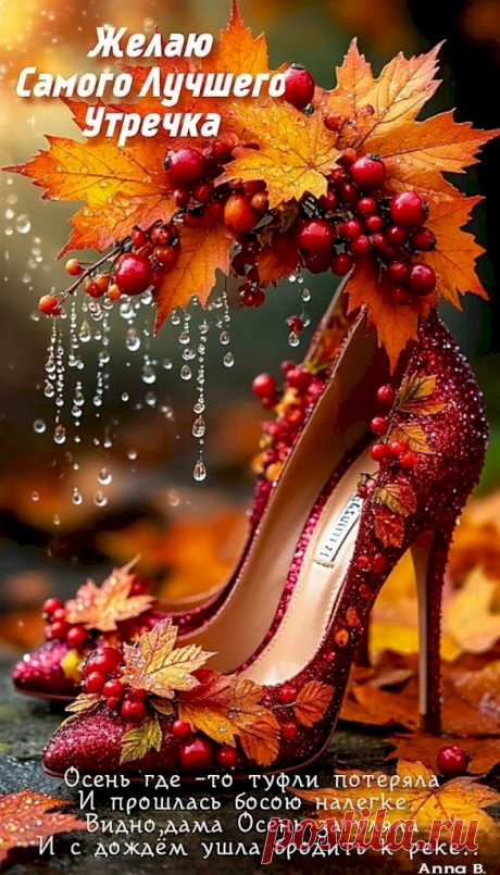 13e18238.jpg (585×1024)