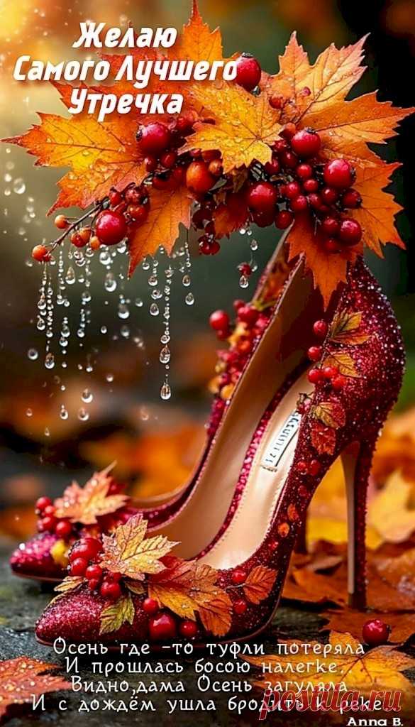 Выпуск №6692 - выпуск анекдотов сайта вокруг смеха