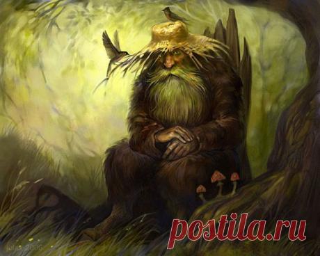 ПИСЬМО В РЕДАКЦИЮ: О ДОМОВЫХ... НАДЯ ТКАЧУК.