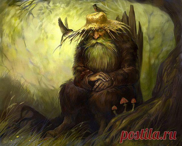 ПИСЬМО В РЕДАКЦИЮ: О ДОМОВЫХ... НАДЯ ТКАЧУК.