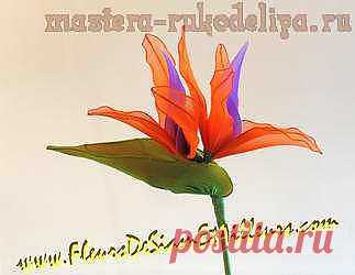 Мастера рукоделия - рукоделие для дома. Бесплатные мастер-классы, фото и видео уроки - Видео мастер-класс по цветам из капрона: Стрелиция