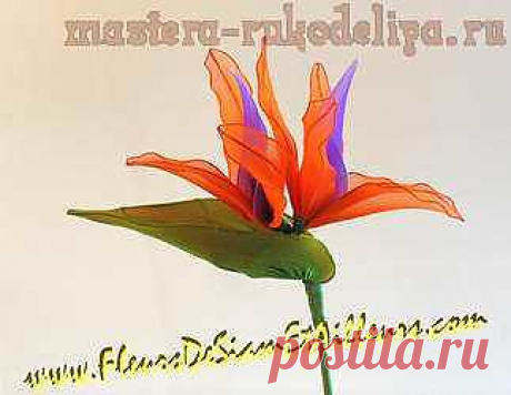 Мастера рукоделия - рукоделие для дома. Бесплатные мастер-классы, фото и видео уроки - Видео мастер-класс по цветам из капрона: Стрелиция