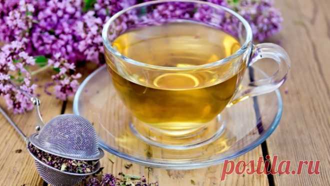 Полезные свойства чая с душицей и рецепты приготовления