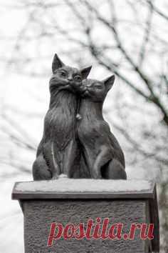 Черные люди и яркая любовь!..