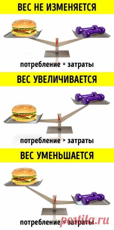 Всего одна вещь влияет на ваш вес, и больше ничего