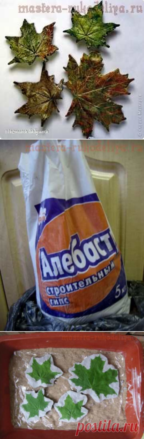 Мастер-класс: Осенние листья из гипса