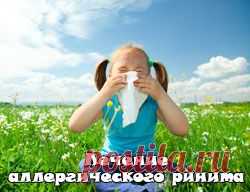 Сборник советов по лечению аллергического ринита