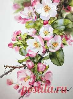 (36) Pinterest