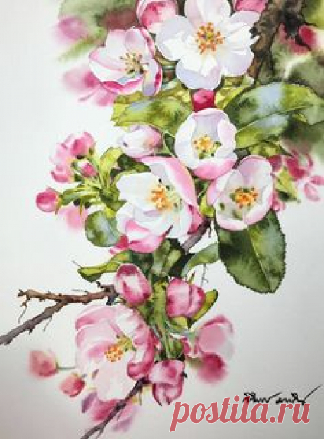 (36) Pinterest