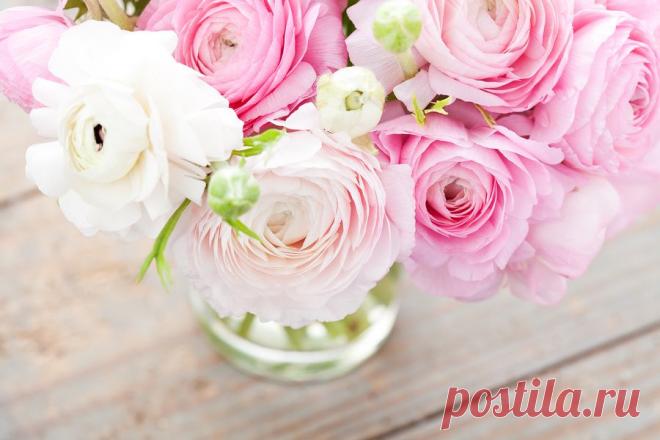 Цветы в деталях: ранункулюсы - WeddyWood