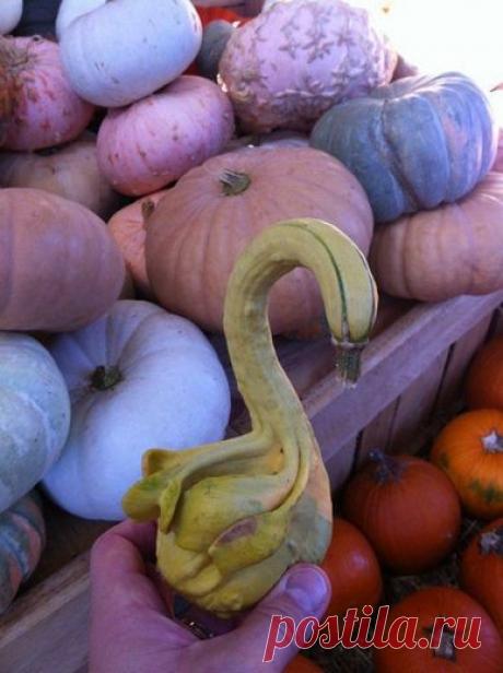 Найдено на сайте photos.ellen.warnerbros.com.