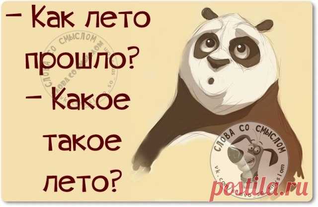 Вот и лето прошло - юмор в картинках » Женский Мир
