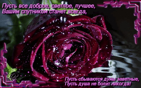 Самые тёплые пожелания сегодня для тебя! — Бесплатные поздравления