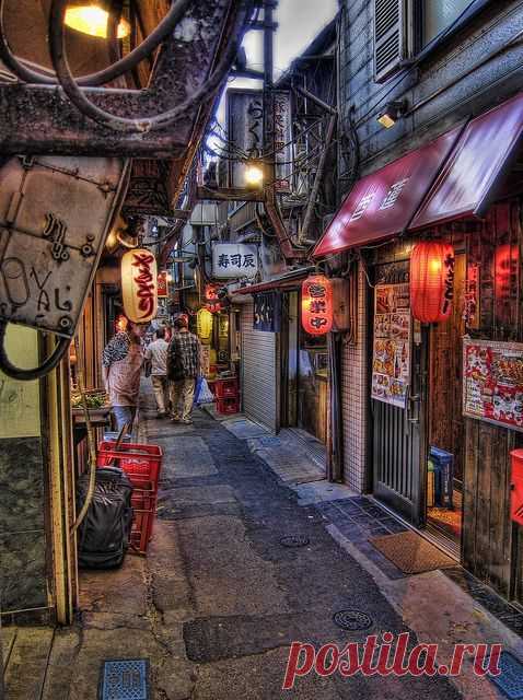 Omoide Yokocho Alley, Shinjuku, Japan: 
Flickr  |  Pinterest • Всемирный каталог идей